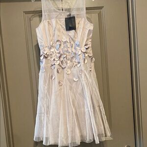 Ryu Anthropologie Elegant Gray Metallic Party Dress NWT Size Small